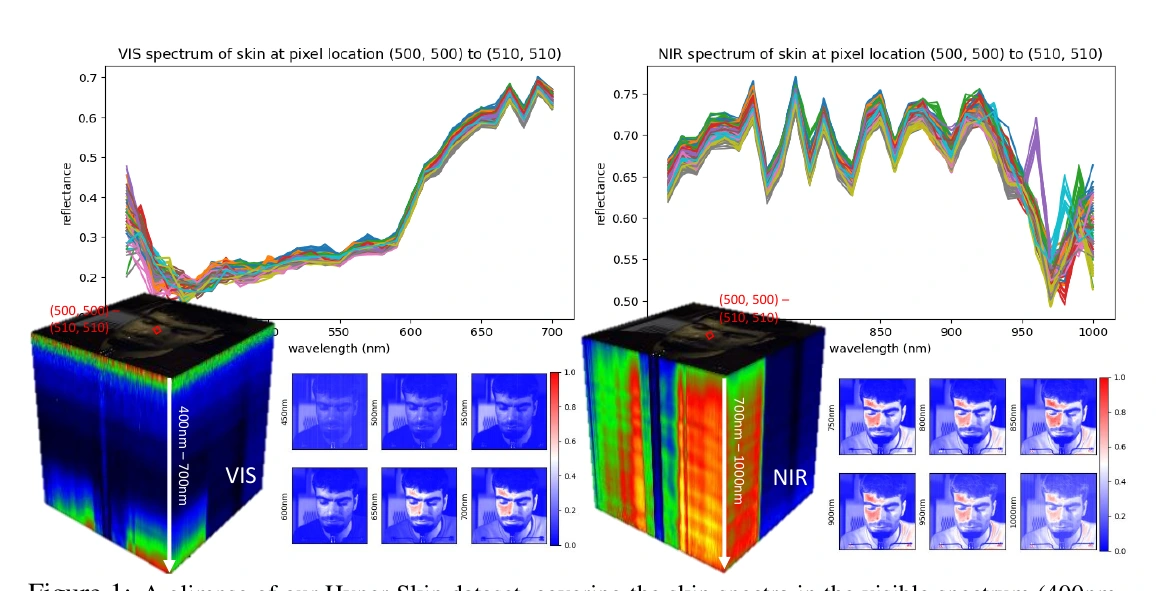 Hyper-Skin Figure 1: visible and near-infrared skin spectra, hyperspectral cubes, and facial images at individual wavelengths.