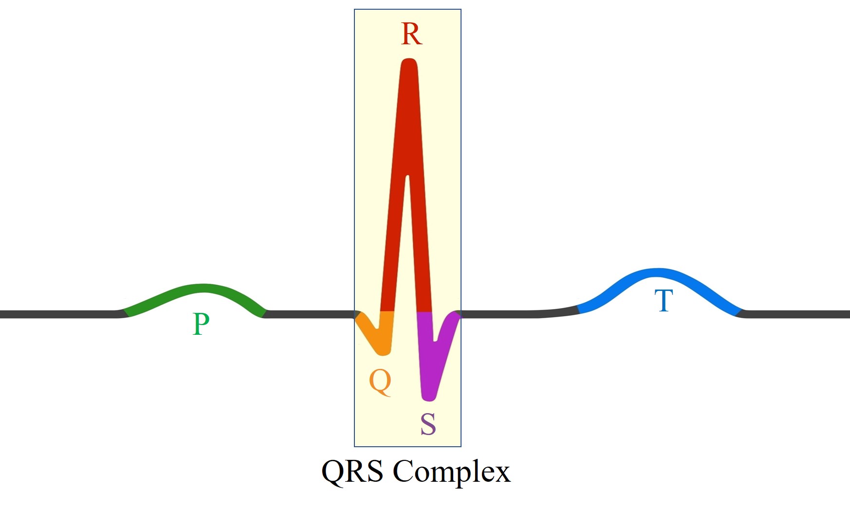 Heart Rate Measurement from ECG — qrs