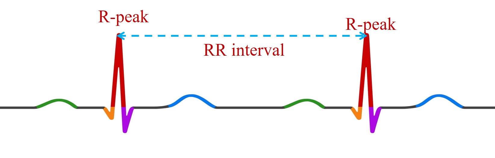 Heart Rate Measurement from ECG — rpeak